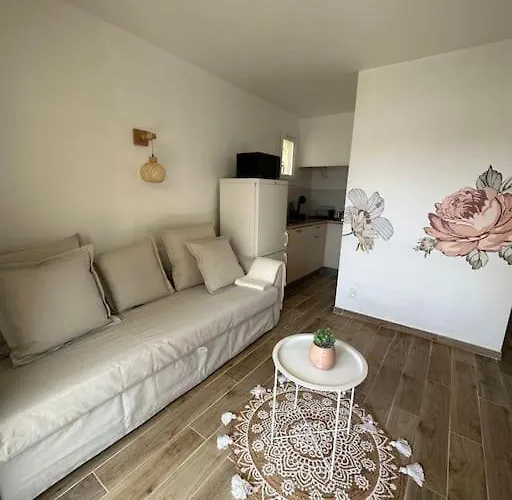 Joli T2 Climatise, Jardin, Confort, Idealement Situe * Le Grau-dʼAgde