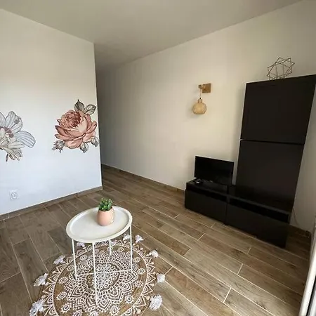 Joli T2 Climatise, Jardin, Confort, Idealement Situe Apartment Le Grau-d'Agde