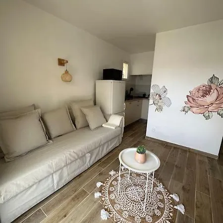 Joli T2 Climatise, Jardin, Confort, Idealement Situe * Le Grau-d'Agde